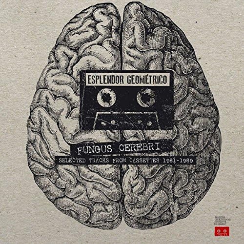 Fungus Cerebri [VINYL]