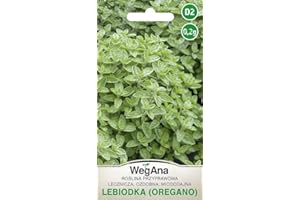 WegAna Semillas de Orégano 0.2g, Semillas de Hierbas Robustas Semillas de Hortalizas Semillas de Cultivo Hierbas de Cocina Balcón y Jardín Especias
