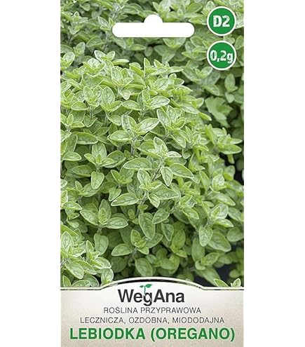 Germisem Biologico Ishikura Long White Semi di Erba Cipollina 2 g