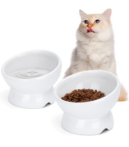 Erhöhter Katzennapf Aus Keramik In Blumenform – Großer Napf Mit HWS-Schutz Für Katzen