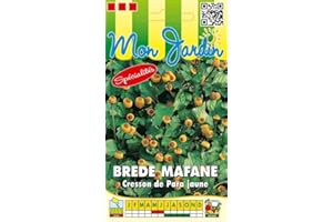Sachet de graines de Brede Mafane - Cresson Para jaune - 0,2 g - LES GRAINES BOCQUET