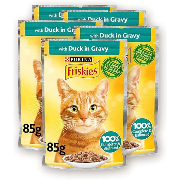 friskies pouches