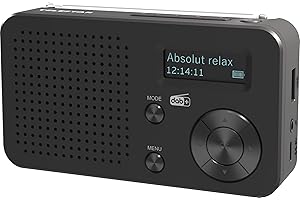 TELESTAR TOP 100 – Mobiles DAB+/UKW Radio (austauschbarer Akku, bis zu 15 Std. Spielzeit, kurzes Ladezeit, Bluetooth 5.4, USB-Mediaplayer) – Schwarz