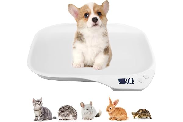 BORDEAG Pèse-Animal Numérique Multifonction, Pèse-Chien pour Petits Animaux, 15 Kg (± 1 G), pour Chatons, Chiots, Hamsters
