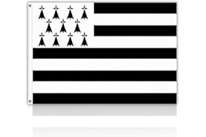 HPMAISON Drapeau Breton 150 x 90cm Drapeau Bretagne 150x90 cm/5x3 ft Parade Décoration Fête Célébration Coupe du Monde