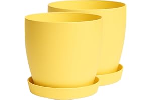 Home Garden Ornaments Plant Pots Indoor, Set of 2 with Saucers,6 Pastel Colours, Indoor Plant Pot, 8 Sizes (Yellow, 14cm / 5.5 inch)