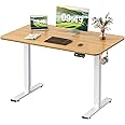 Furmax Electric Height Adjustable Standing Desk Large 48 x 24 Inches Sit Stand up Desk Home Office Computer Desk Memory Preset with T-Shaped Metal Bracket, Wood