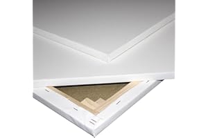 Niik Tele Tela Pittorica in Cotone Trama Media 40 x 70 x 1,7 cm con Graffe Posteriori da Dipingere per Pittori Pittura Telaio Telato alla Francese, Bianco