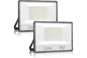 ANNIFUNLY 100W Foco LED Exterior,Focos LED,IP67 Impermeable 7000K Blanco Frío Luces Led Exterior,10000LM Proyector LED Exterior,luminación de Seguridad Apliques de Exterior para Jardín,Patio,Terraza(2 Piezas)