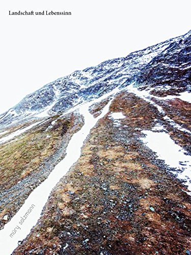 Preisvergleich Produktbild Landschaft und Lebenssinn