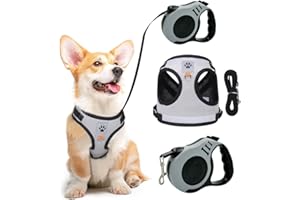 XFSRG Arnés para Gatos y Perros con Correa Antiescape Ajustable con Botón y Chaleco de Seguridad como Equipo de Protección para Mascotas (S)