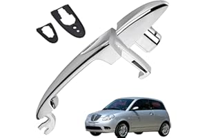 Ruolin Maniglia Della Portiera Esterna dell'Auto Sostituzione per Lancia Ypsilon 2003-2011, Destra
