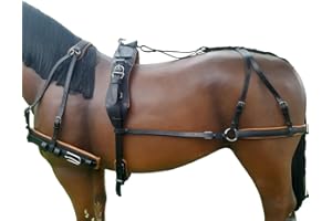 Brama West Einspännergeschirr “Exclusiv - Fahrgeschirr Kutsche - anatomisch geformt - geeignet für Freizeitfahrer & Turniersport, Gr. Full