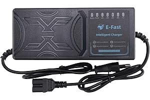 XIAOJUN Caricabatterie per Veicoli Elettrici 48V 20AH Display Un 7 Luci Display di Potenza Protezione dalle Perdite di Corrente/Spina UE Un Impulsi Completi