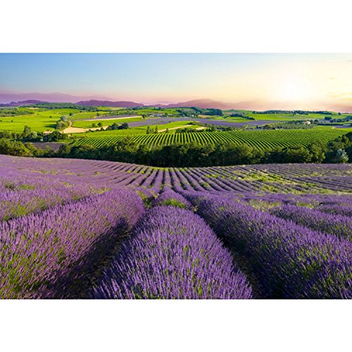 Fototapete Provence 308 x 220 cm – Vliestapete – Wandtapete – Vlies Phototapete – Wand – Wandbilder XXL – !!! 100% MADE IN GERMANY !!! Runa Tapete 9022010b - 6