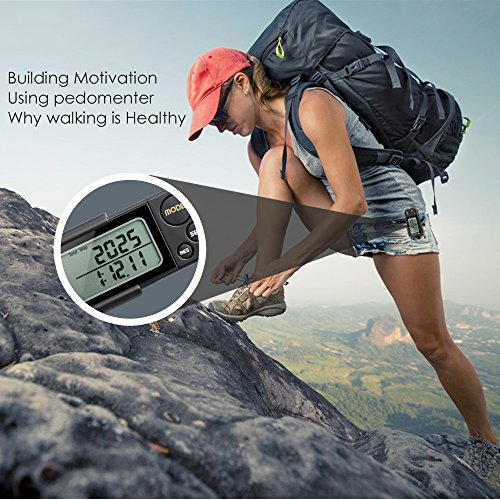 icefox® 3D Schrittzähler, mit Fitness AktivitätenZähler, derihre Leistung bis zu 30 Tage speichert,ein akkurater Laufschrittzähler, ein Trainingszeiten- und Kalorienzähler, hält die tägliche Leistungen fest, Tri-AxisTechnologie, Clip und Gurt (Schwarz) - 6