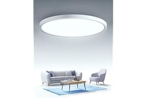 BEDEE LED Ceiling Light 24W Round Bathroom Lamp Ceiling 2880lm 6500k Cold White Bathroom Lamp 30cm X 2.4cm IP44 Waterproof for Bathroom, Living Room, Hallway, Bedroom, Basement, Balcony, Kitchen