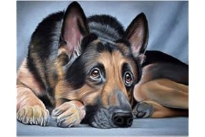 YUNLINZI Paint by Numbers for Adults Children，Paint by Numbers for Adults Children -German shepherd dog - 16x20 Inch Linen Canvas Acrylic DIY Number Painting Kits Wall Art Decor Gifts (Without Frame)