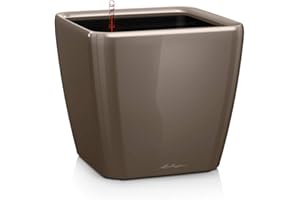 Lechuza – Pot de Fleurs d'Interieur – Premium Quadro Ls – Réserve d'Eau Intégrée – Coloris Taupe – 21 x 21 x 20 cm