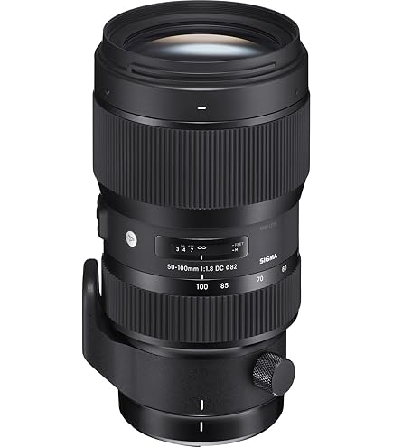 Nikon AF-S Nikkor 60mm F/2.8G ED Prime Lens for Nikon DSLR Camera