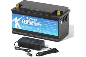 MOSEWORTH Lifepo4 Akku 12v 100ah Autobatterie mit BMS Ersetzt AGM oder Gel Aufbau Batterie für Wohnmobil, Boot, Camping oder Solaranlage - mit lifepo4 ladegerät