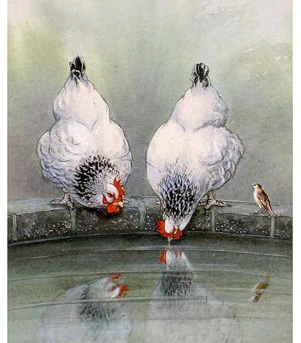 ZHXXFD Diamond Painting Strass Complet Enfant Poulet Broderie