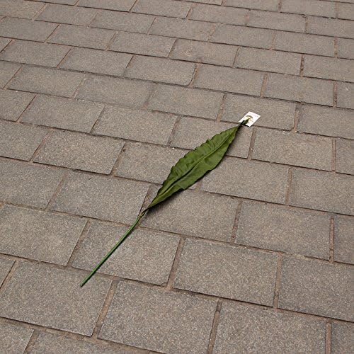 HUAYIFANG Emulation floral Olive Leaf foliage