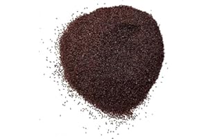 FRANCEHERBORISTERIE Tisane Psyllium Noir semence 250 GRS Plantago psyllium