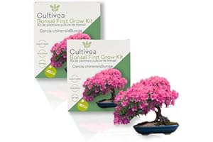 CULTIVEA® 2 x Kit First Bonsai- Kit de première culture de Bonsaï – Prêt à Pousser avec Graines & Accessoires – Idée Cadeau Jardinage | Made In France (Cercis Chinensis)