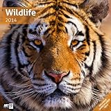 Wildlife 2014 Art12 Collection: Inlusive 10 beliebig oft verschiebaren Markern by