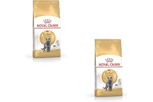 Royal Canin British Shorthair Adult | dwupak | 2 x 400 g | pełnoporcjowa karma dla kotów brytyjskich krótkich włosach | zaprojektowana specjalnie dla brytyjskich kotów krótkowłosych | od 12 miesiąca