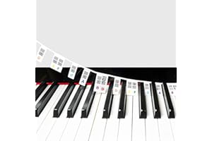 Snowtain Entfernbar Piano Keyboard Stickers,Wiederverwendbare Silikon-Tastatur-Notizaufkleber mit 88 Tasten,Piano and keyboard sticker für Anfänger, Kinder und Erwachsene (BUNT)