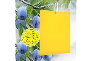 Panngu 20 Piezas Trampas Adhesivas, Trampas de Mosca pegajosas de Doble Cara Amarillas para como Mosquitos, pulgones, Moscas Blancas, Otros Insectos de Plantas voladoras (Se Incluyen Corbatas)