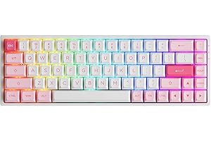 EPOMAKER AKKO 3068B Prunus Lannesiana 65% wymiana Hot-Swap RGB 2,4 GHz, Bluetooth 5.0, przewodowa, mechaniczna klawiatura do gier z nasadkami klawiszy PBT, mocna bateria 1 800 mAh, Mac, Win, Linux (AKKO CS, żelowo-fioletowe)