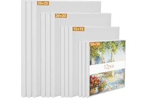 LAITER 12 Pezzi Tela Cotone Telaio Legno Acrilico e Pittura a Olio Dipingere Disegno Bambini Bianco Legno Telaio Tele Pittura Cotone Disegno Cotone Dipingere Quadri Legno Telaio 20x20cm