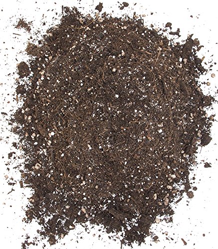 Floragard Bio Kräuter- und Aussaaterde ohne Torf 40 L, Kräutererde, torffrei - 4