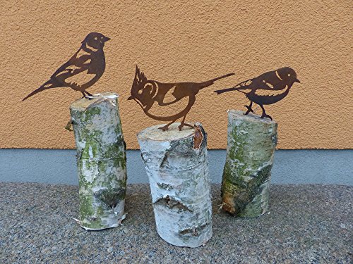 Vogel / Kohlmeise (Rostdeko) - 7