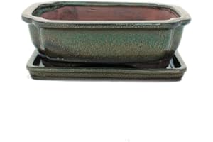 EXOTENHERZ Bonsai pot avec soucoupes taille 3–vert olive-modèle rectangulaire-marron - 18–g12 cm-largeur : 14 cm-hauteur 5,5 cm