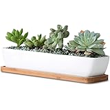 wish you have a nice day 11.1 inch long rectangle White Ceramic Succulent Planter Pots / Mini Flower Plant Containers with Bamboo Saucers Product size:11.1x2.36x1.77inch (long rectangle)