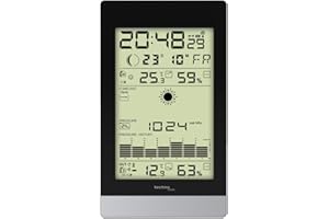 TECHNO LINE TECHNOLINE WS 9050 ESTACIÃ“N METEOROLÃ“GICA DIGITAL NEGRO, PLATA