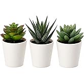 IKEA Fejka Yapay Saksı Bitkisi Saksılı İ&ccedil; Mekan Dış Mekan Etli / 3'l&uuml; Paket Boyutu 2 &frac14; " 3'l&uuml; Paket 203.953.31
