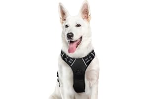 Eagloo Pettorina Cane Taglia Grande, Pettorina ad h Antifuga, Imbracatura per Cani Anti Tiro con Doppio Gancio, Imbracatura Robusto e Regolabile per Addestramento Passeggiate, XL, Nera