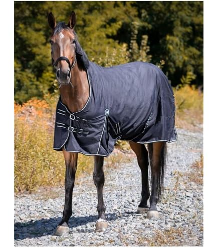 Coperta Estiva QHP Falabella Collection Blossom - Blu Navy Per Cavallo