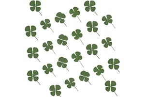 ‎ZKGYUS ZKGYUS 24 Stück Getrocknete Blumen, Natürlich, Gepresst, Kleeblatt, Vierblättriges Kleeblatt, für Kunsthandwerk, Schmuckherstellung, aus Kunstharz