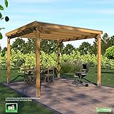 Trauben pergola