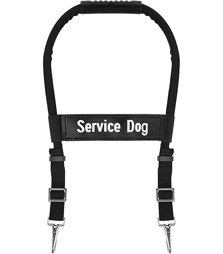 Julius-K9