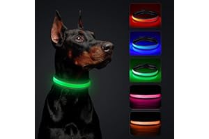 BTKVISEQAT Leuchthalsband Hund, Wasserdicht Hundehalsband Leuchtend, USB Leuchthalsband Hund Aufladbar Längenverstellbarer mit DREI Beleuchtungsmodi LED Hunde Leuchthalsband, Hund Sicherheit Leuchtet für Nacht