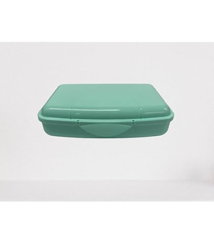 Lunchbox Rotho Trasparente 1.25 L - Portapranzo Con Chiusura A Scatto, Senza BPA - Foto 9