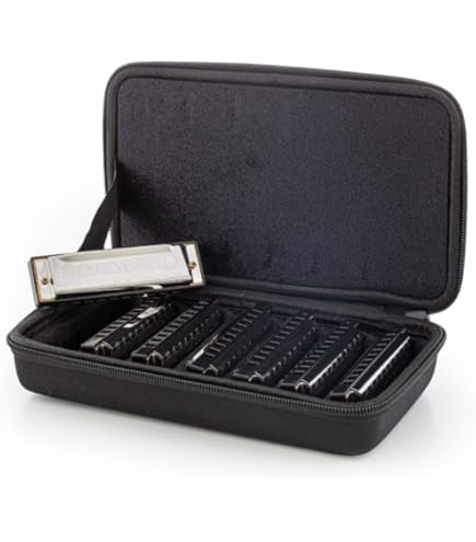 Hohner H Piedmont Blues Paquete De 7 Armónicas Estuche... | Envío gratis