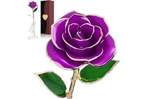 BESTYKS Rose plaquée or 24K pour elle, Rose Eternelle, faite de vrais pétales de rose avec support et boîte, fleur artificielle cadeau pour femme, petite amie, maman, Saint-Valentin, Anniversaire (Violet)